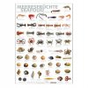 Port Culinaire - Küchenposter Meeresfrüchte (59,4 x 84cm), St