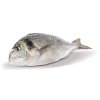 349 1 prazma kralovska 400 600 g