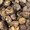 Shiitake Pilze, Tongu, kleine Kalibrierung ř 3cm, Zhong-Hon-Gu, ab 500 g