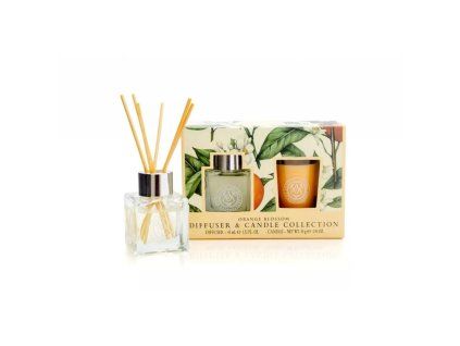 69351 1 pomerancovy kvet