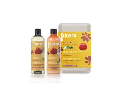 Kaštan z Toskánska