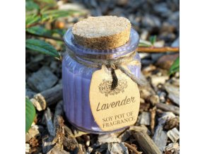 Sójová Vonná Svíčka Levandule 1
