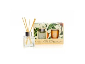 69351 1 pomerancovy kvet