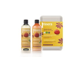 Kaštan z Toskánska