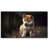 shiba puppy