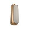 Beolab 50 (Barva Silver)