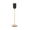 Beolab 8 (Barva Black Anthracite)