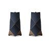 Beolab 90 (Barva Silver/Black)