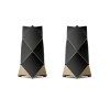 Beolab 90 (Barva Silver/Black)