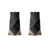 Beolab 90 (Barva Silver/Black)