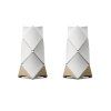 Beolab 90 (Barva Silver/Black)