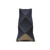 Beolab 90 (Barva Silver/Black)