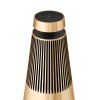 Beosound 2 3rd gen (Barva Natural Silver)