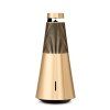 Beosound 2 3rd gen (Barva Natural Silver)