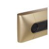 Beosound Premiere (Barva Natural Aluminium)