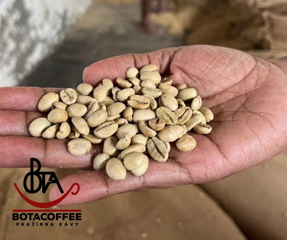 india-malabar-aa-monsooned