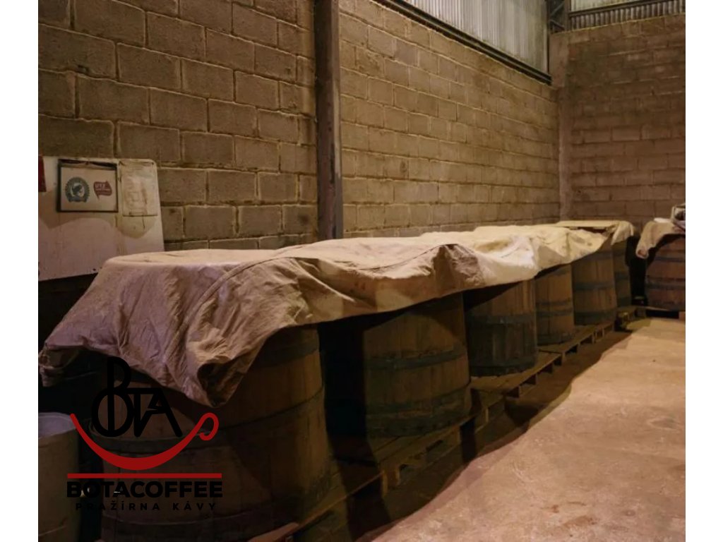 brazil-drum-fermentation-fazenda-mirante-sul-de-minas-2024-fermentace-v-dubovych-sudech