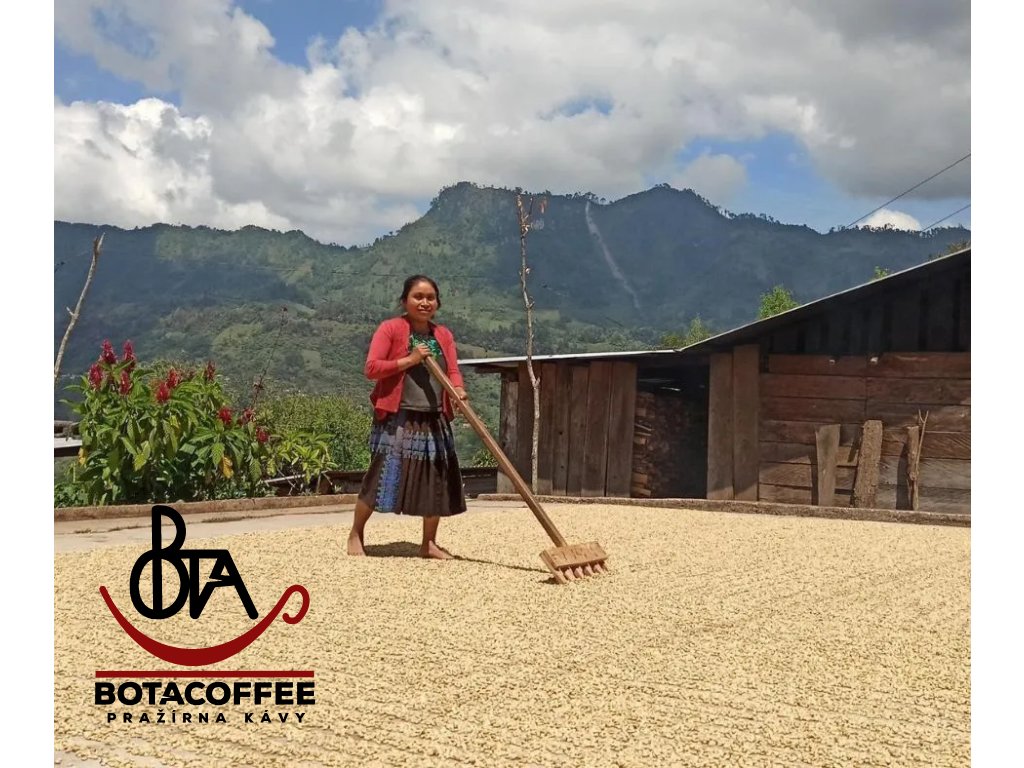 mexico-cafe-de-mujeres-2024-suseni-kavy