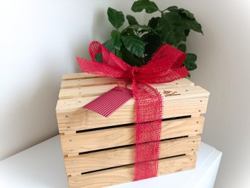 Degustační kávová bedýnka z pražírny BotaCoffee