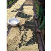 Kenya Slopes of 8 AB - Kirinyaga 2020 (250g)