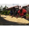 Kenya Slopes of 8 AB - Kirinyaga 2020 (250g)