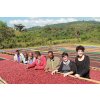 Ethiopia - Biya Faris - Bashasha Single Farm Natural Djimma 2020 (1kg)