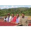Ethiopia - Biya Faris - Bashasha Single Farm Natural Djimma 2020 (1kg)