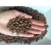 Zrnka pražené kávy Rwanda Gicumbi z pražírny BotaCoffee