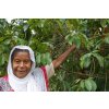 Coffee farmer Ethiopia Yirgacheffe Konga