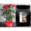 Coffee Carol  Christmas Coffee Blend