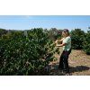 Ms. Patricia Coelho on her farm