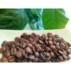 Roasted Coffee Beans Brazil Patricia Coelho from BotaCoffee roastery