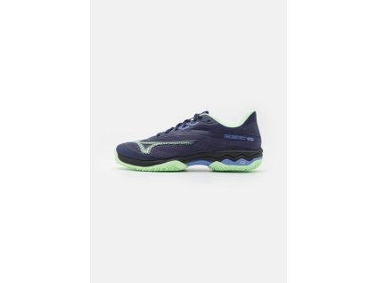 WAVE EXCEED LIGHT 2 / EvnBlue/PatinaGreen/Lolt / 42.0/8.0