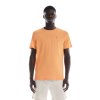 Pánské Triko Kr.Rukáv On Running Core-T Tangerine (Velikost L)