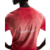 Pánské Triko Kr.Rukáv On Running Pace Mesh-T Red (Velikost L)