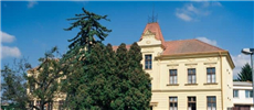 Podporili sme neziskovú organizáciu Fénix Kyjov
