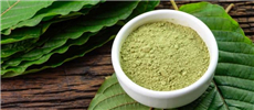 Zlacňujeme Kratom. Jeho popularita trhá rekordy