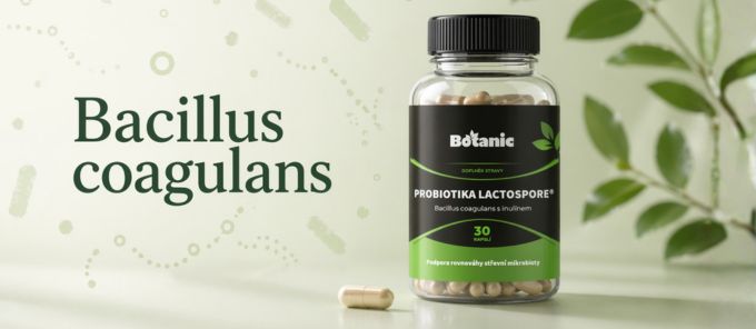 Bacillus coagulans: čo to je a prečo sa používa