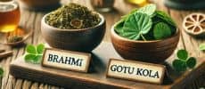 Brahmi versus Gotu kola