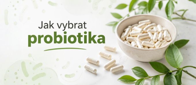 Jak vybrat probiotika: na co si dát pozor