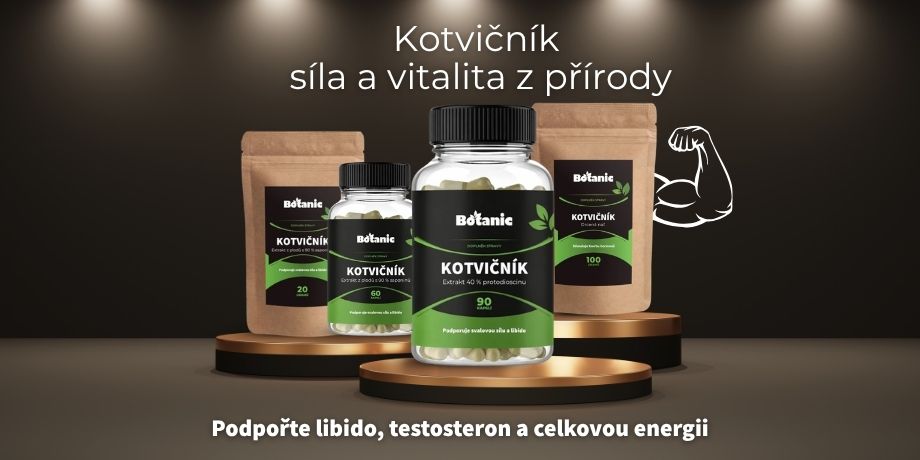Kotvičník