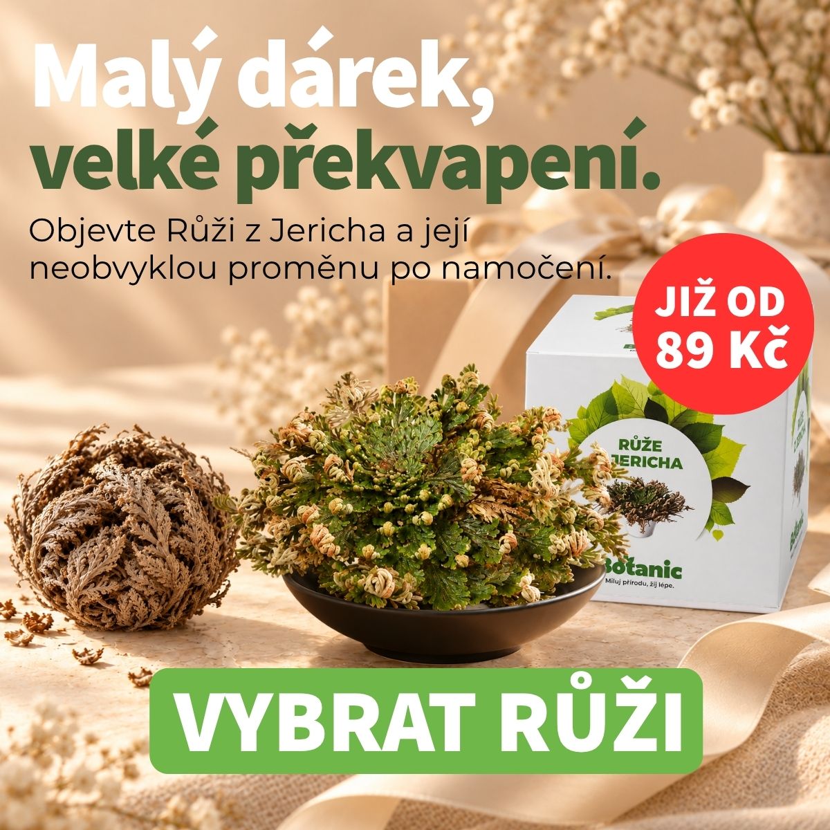 Vyberte Růži z Jericha a překvapte originálním dárkem