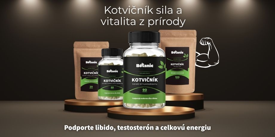 Kotvičník