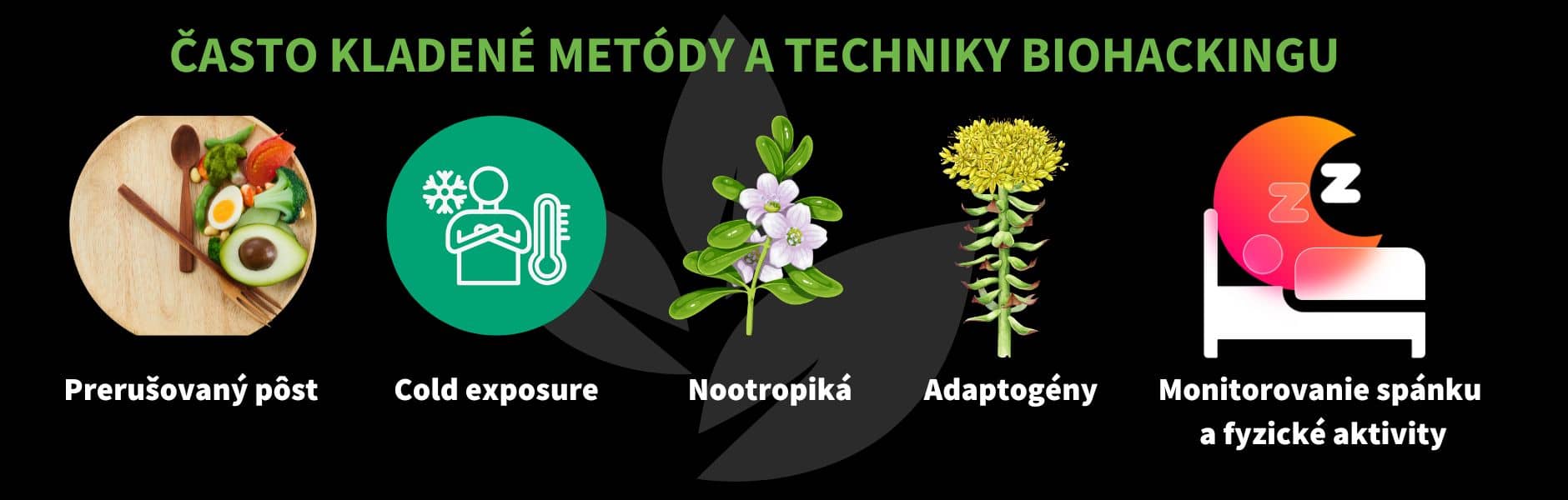infografika