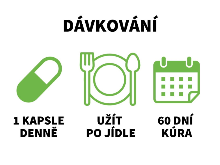 Máta peprná - Extrakt z listů 10:1 v kapslích