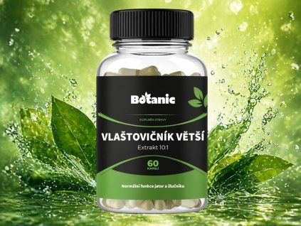 Mustry na barevné podklady (53)