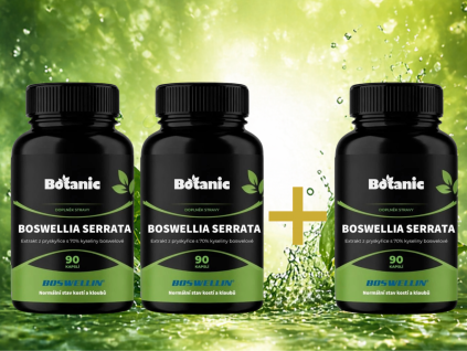 Mustry na barevné podklady (2)