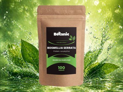 Mustry na barevné podklady (8)