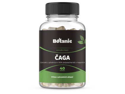 Čaga - extrakt z plodnice s 50 % polysacharidov v kapsuliach