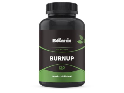 burnUp120
